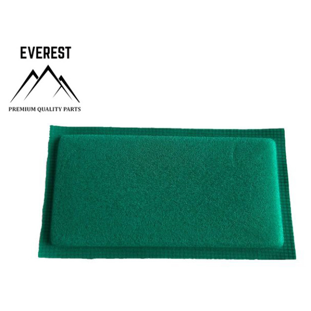 ELŐSZŰRŐ BRIGGS&STRATTON DO 04-01005 EVEREST