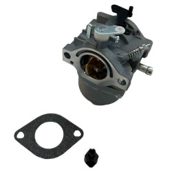 KARBURÁTOR BRIGGS&STRATTON 495706, 498027, 498231, 499161, 799728