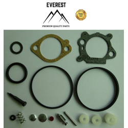JAVÍTÓ KOMPLETT BRIGGS&STRATTON QUANTUM 492495, 493762, 498260 EVEREST