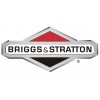 Briggs