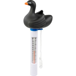 STR Black Swan úszó medencehőmérő 
