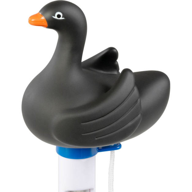 STR Black Swan úszó medencehőmérő 